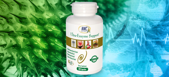 Ultra Enzyme Support